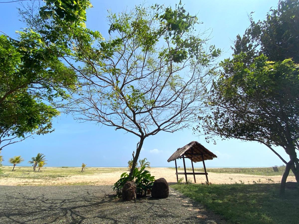 Dream Garden Ξενοδοχείο Arugam Bay Εξωτερικό φωτογραφία